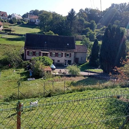 My Zen Thal Bed & Breakfast Meisenthal ภายนอก รูปภาพ