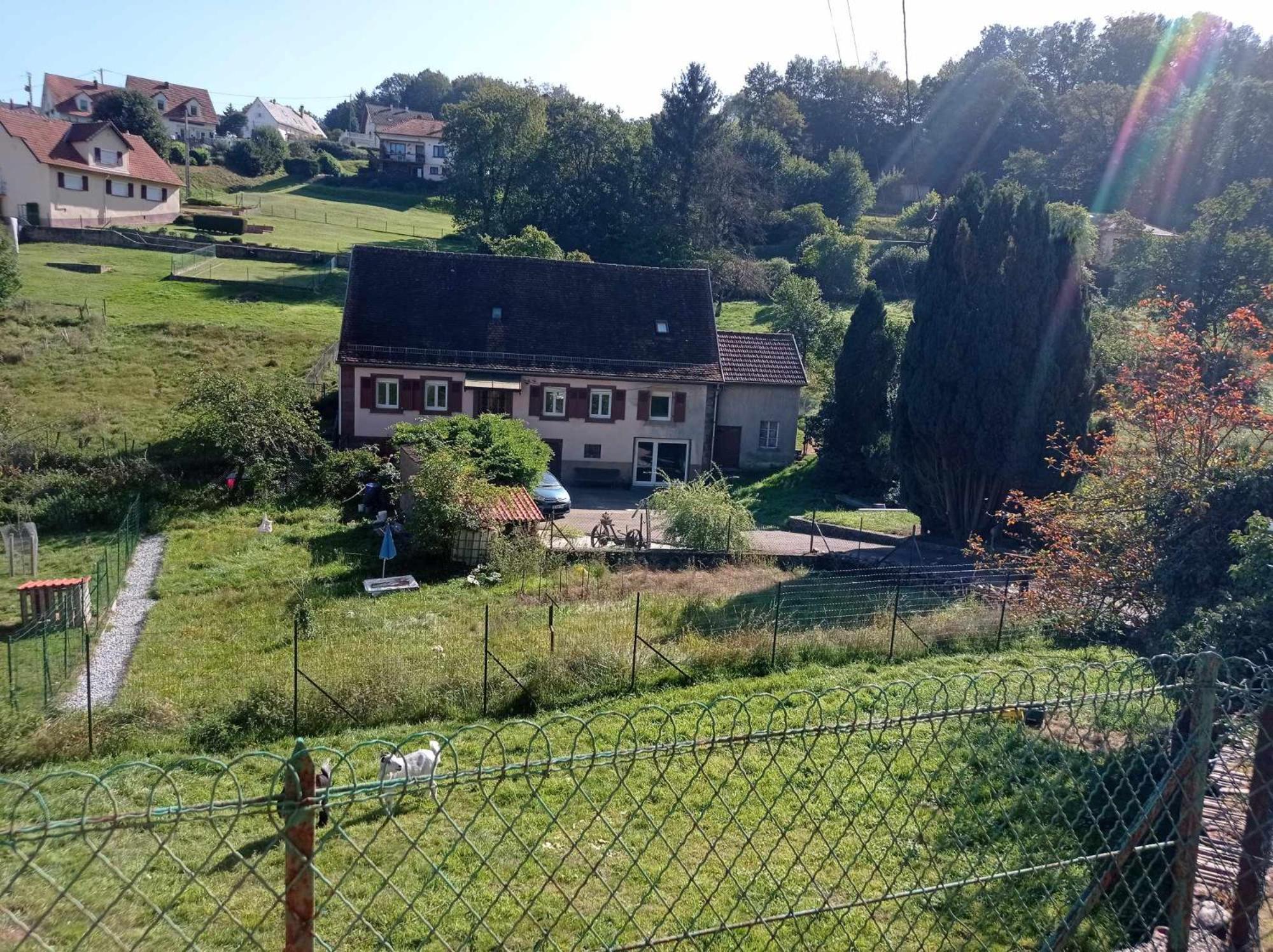 My Zen Thal Bed & Breakfast Meisenthal ภายนอก รูปภาพ